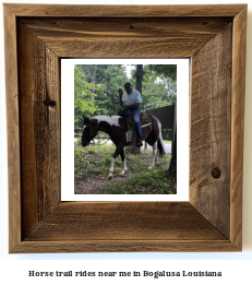 horse trail rides near me in Bogalusa, Louisiana